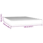 vidaXL Matelas de lit à ressorts ensachés 120x210x20 cm velours