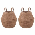 vidaXL Pot de plante avec poignées 2 Pièces Naturel Ø 22 x 20 cm
