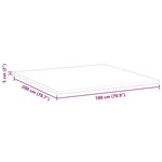 vidaXL Coussins de Matelas Blanc 180 x 200 cm