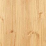 vidaXL Placard Gamme Corona Pin mexicain 80x40x170 cm