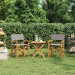 vidaXL Chaise de directeur Marron et gris clair Bois de teck massif