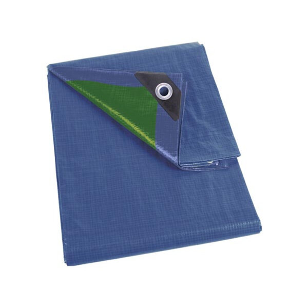 Perel Bâche  résistant  20 œillets  angles renforcés  carré  bleu/vert  70 g/m²  5 x 5 m