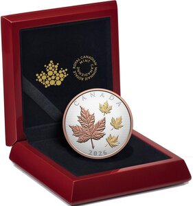 Pièce de monnaie en Argent 50 Dollars g 155.5 (5 oz) Millésime 2026 MAPLE LEAVES IN MOTION