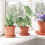 vidaXL Pot à fleurs rond 24 Pièces Rouge brique Ø 12 5 x 10 cm Plastique