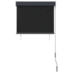 vidaXL Store roulant d'extérieur 80 x 250 cm Anthracite