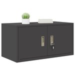 vidaXL Armoire de rangement Noir 80 x 40 x 40 cm Acier