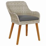 vidaXL Chaise de jardin 2 Pièces Gris clair 55 x 62 5 x 82 cm polyrotin