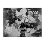 THE RED VINEYARD 1888 By Vincent Van Gogh Colored 2.5 Once Argent & 120g Copper Monnaie 10000 Francs Chad 2024