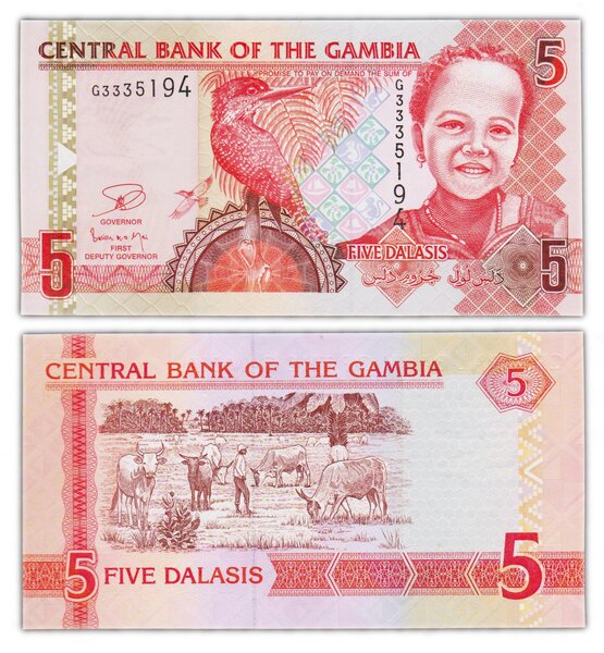 Billet de Collection 5 Dalasis 2006 Gambie - Neuf - P25c
