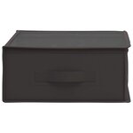 vidaXL Boîte de rangement avec fenêtre transparente Anthracite