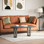 vidaXL Pieds de table basse en forme de V  2 pièces  anthracite  38 x (42-43 3) cm  acier