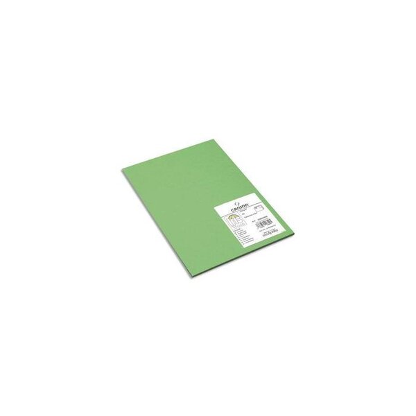 Paquet de 15 feuilles papier dessin 21x29 7 CANIRIS VIVALDI 185g. Coloris vert franc CANSON