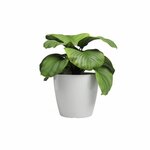 Pot de fleur SAN REMO - 36 br - Blanc - 36 x 36 x 33 5 cm