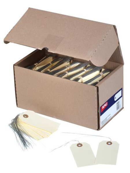 1000 Étiquettes Américaines 100X51 + Fil Fer