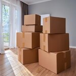 Pack and Move - Lot 12 rouleaux ruban adhésif marron pour emballage et déménagement - 66 m - Qualité Premium