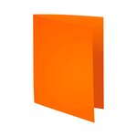 Paquet de 100 chemises Forever® 220 100  recyclé 24x32cm Assorties EXACOMPTA