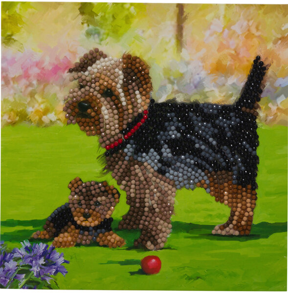 Kit carte broderie diamant 18x18cm Yorkshire