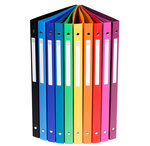 20 Classeurs souple avec étiquette  4 anneaux  Dos 20mm  32x25 cm  A4  Coloris aléatoires EXACOMPTA