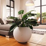 LECHUZA Jardinière PURO Color 50 ALL-IN-ONE diamètre 50 cm blanc