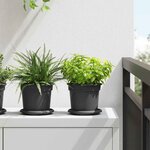 vidaXL Pots de plantes 6 Pièces Noir Ø 15 x 12 cm Plastique