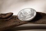 Pièce de monnaie en Argent 500 Togrog g 31.1 (1 oz) Millésime 2024 Woodland Spirit BEAR (PRÉCOMMANDE)