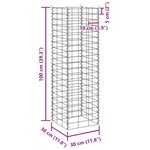 vidaXL Lits surélevés en gabion 3 Pièces 30x30x100 cm Fer