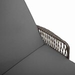 vidaXL Chaise longue avec coussin 2-personne 2 Pièces Gris polyrotin