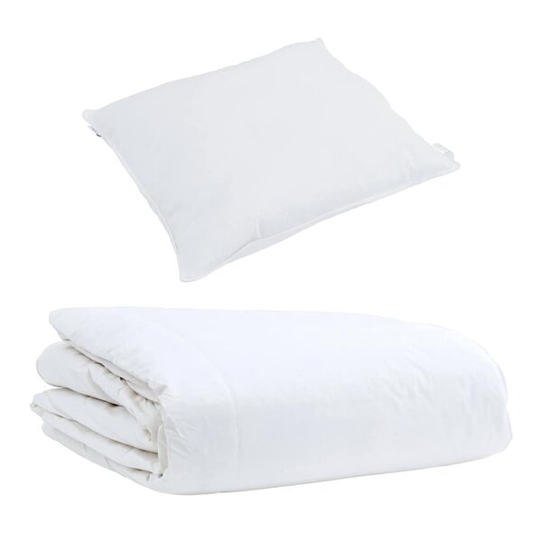 vidaXL Duvet d'été simple avec oreiller 2 Pièces Blanc Plume de canard