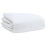 vidaXL Couettes & Duvets Blanc 200 x 200 cm Bas