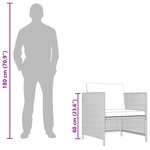 vidaXL Canapé de jardin avec coussins Gris Résine tressée