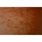 Chemise à élastiques sans Rabats carton 400g 24x32 cm Orange EXACOMPTA