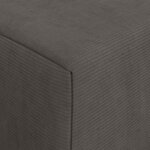 vidaXL Canapé-lit pliable Gris foncé 200 x 70 x 10 cm