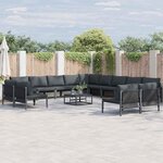 vidaXL Ensemble de canapé de jardin 13 Pièces Anthracite Acier
