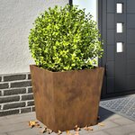 vidaXL Jardinières 2 Pièces 50x50x50 cm acier résistant aux intempéries