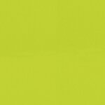 vidaXL Coussins de palette lot de 5 vert vif tissu