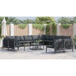 vidaXL Ensemble de canapé de jardin 12 Pièces Anthracite Acier