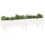 vidaXL Lit surélevé de jardin blanc 160x30x38 cm bois de pin massif