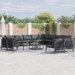vidaXL Ensemble de canapé de jardin 13 Pièces Anthracite Acier