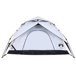 vidaXL Tente de camping à dôme 5 personnes libération rapide