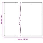 vidaXL Couverture pour plantes Transparent 3 x 4 m PVC