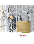 THIRARD - Cadenas à clé Type 1  laiton  intérieur  anse acier  60mm  2 clés