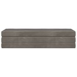 vidaXL Canapé-lit pliable 180 x 67 x 45 cm Gris clair
