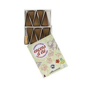 20 pyramides d'encens anti-moustiques 30 min