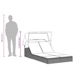 vidaXL Chaise longue double avec auvent et coussins gris clair rotin