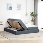 vidaXL Lit avec rangement et matelas Gris foncé 200 x 200 cm Velours