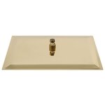 vidaXL Pomme de douche pluie Inox 40x30 cm Rectangulaire Doré