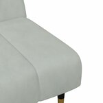 vidaXL Ensemble de canapés 2 Pièces gris clair velours
