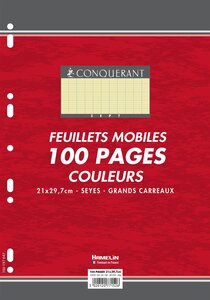 Feuillets mobiles 21x29 7 cm 100 pages grands carreaux jaunes 80g OXFORD
