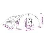 vidaXL Serre avec cadre en acier vert 60 m² 10x6x2 85 m