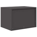vidaXL Armoire de rangement Noir 60 x 40 x 40 cm Acier